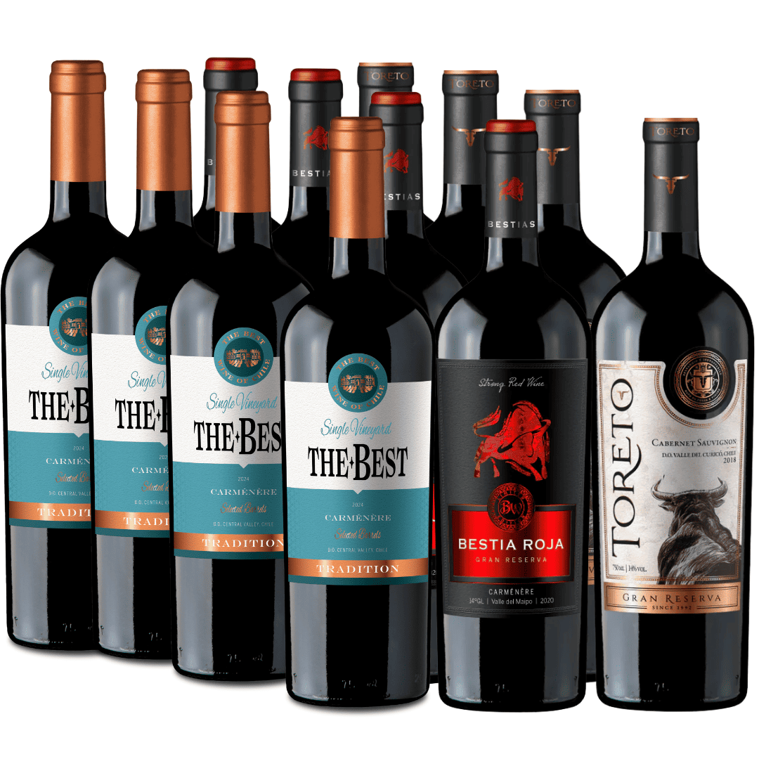 Pack 12 vinos | Reserva y Gran Reserva | Carmenere | Caja 6 Botellas 750cc