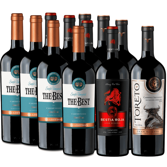 Pack 12 vinos | Reserva y Gran Reserva | Carmenere | Caja 6 Botellas 750cc