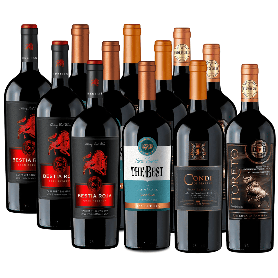 Pack 12 vinos | Vinos Reserva, Gran Reserva y Premium | 750cc
