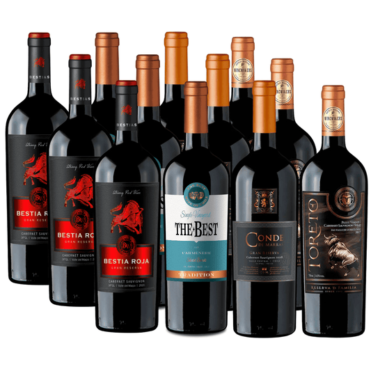 Pack 12 vinos | Vinos Reserva, Gran Reserva y Premium | 750cc