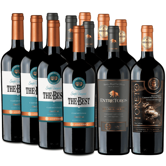 Pack 12 vinos | Selección Reserva, Gran Reserva | Carmenere, Blend | 750cc