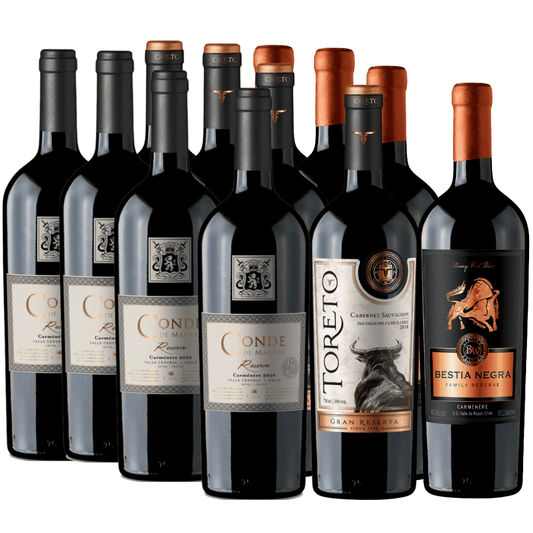 Pack 12 vinos | Reserva-Gran Reserva-Premium | Carmenere | 750cc