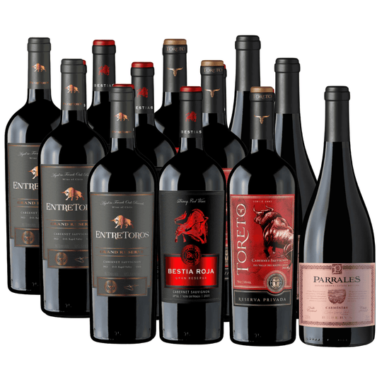 Pack 12 vinos | Reserva y Gran Reserva | Carmenere