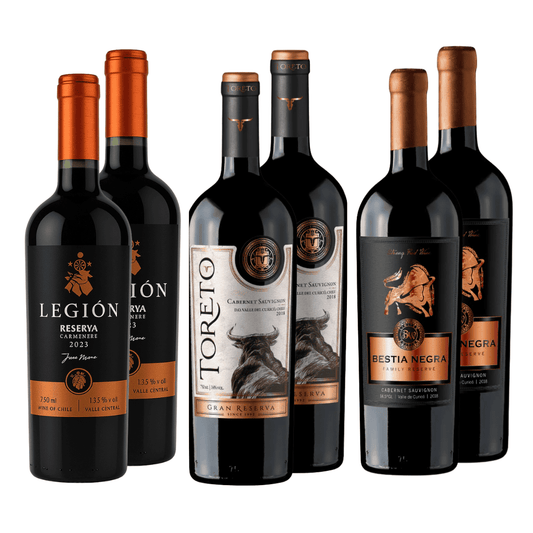 Pack 6 vinos | Reserva, Gran Reserva, Premium | Carmenere | Caja 6 Botellas 750cc